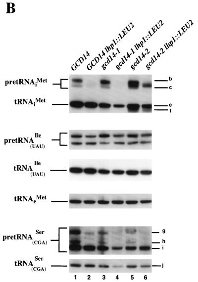 FIG. 8