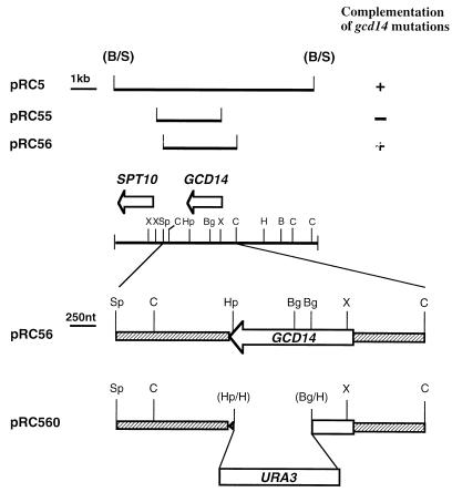 FIG. 1