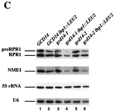 FIG. 8