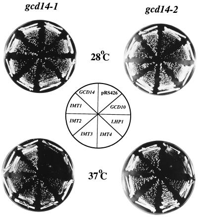 FIG. 4