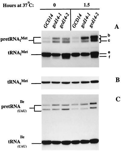FIG. 5