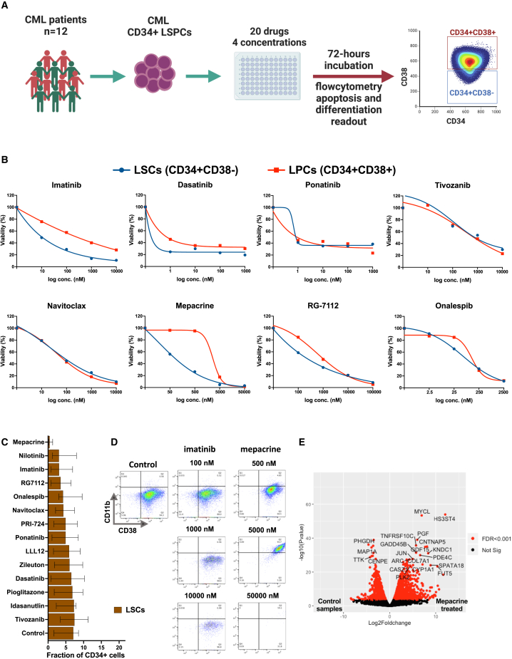 Figure 2