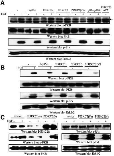 graphic file with name cdf512f8.jpg