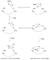 SCHEME 2