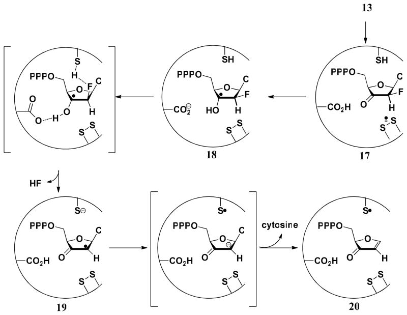 SCHEME 4