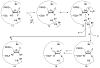 SCHEME 3