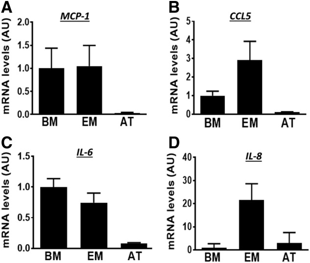 FIG. 2.