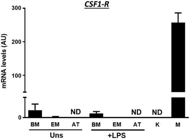 FIG. 5.