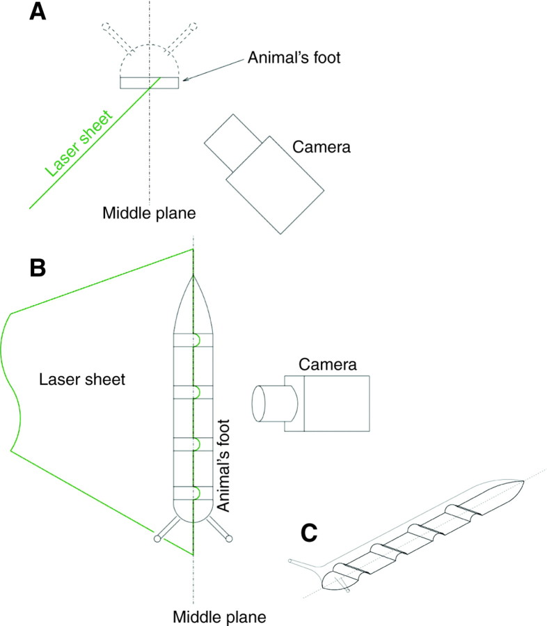 Fig. 4.