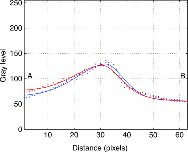 Fig. 6.