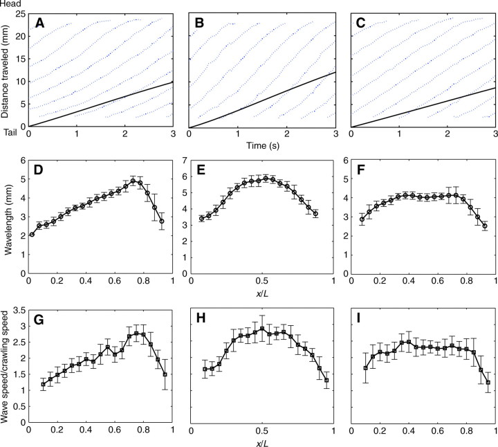 Fig. 12.