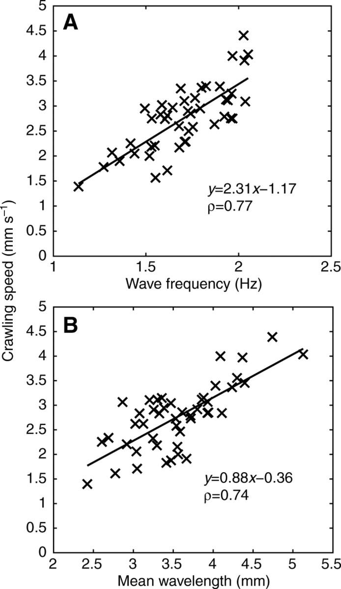 Fig. 10.