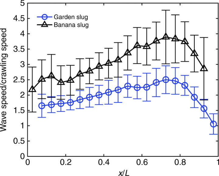 Fig. 11.