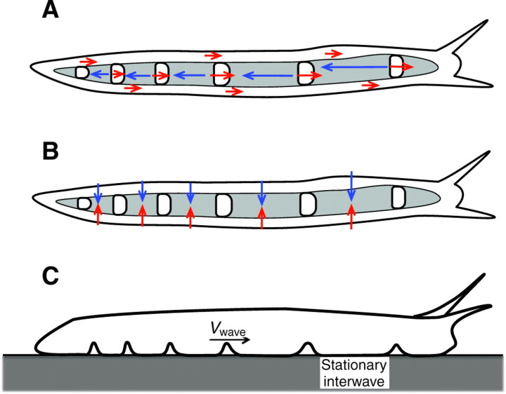 Fig. 17.