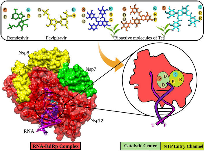 Graphical Abstract