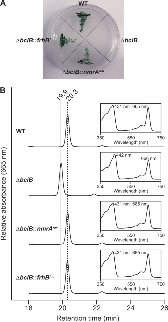 FIG 3