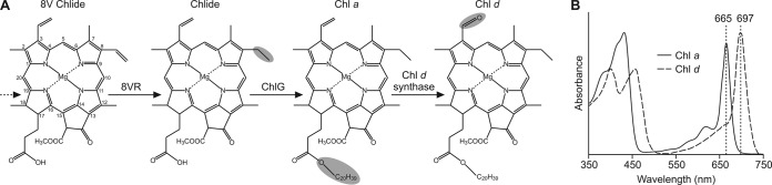 FIG 1