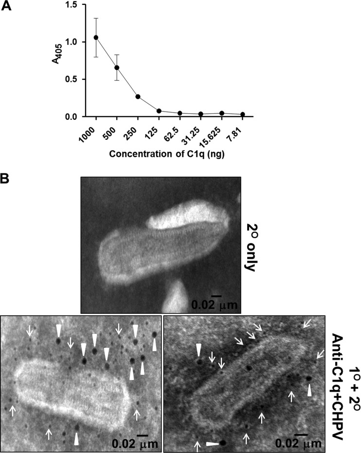 FIG 5