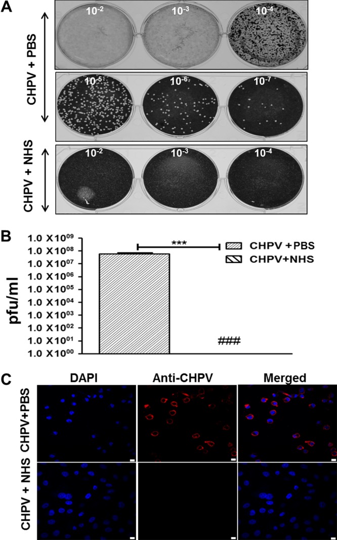 FIG 8