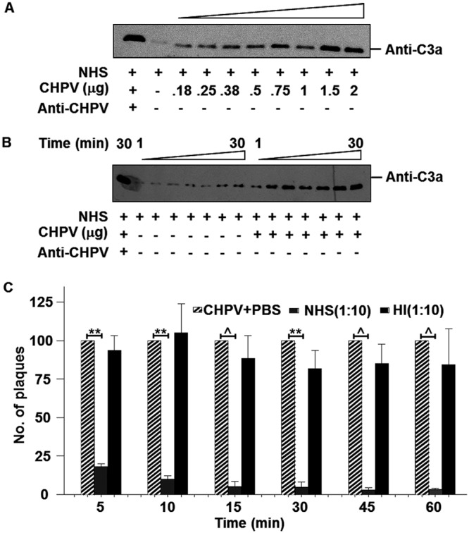 FIG 1