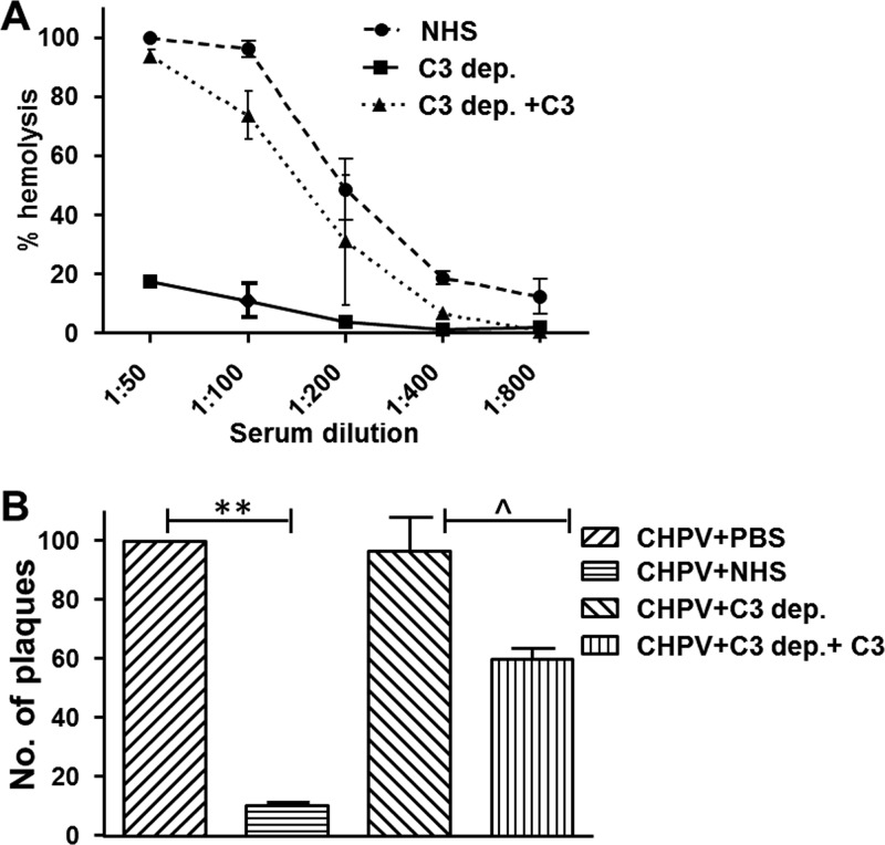 FIG 2