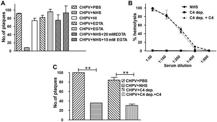 FIG 3