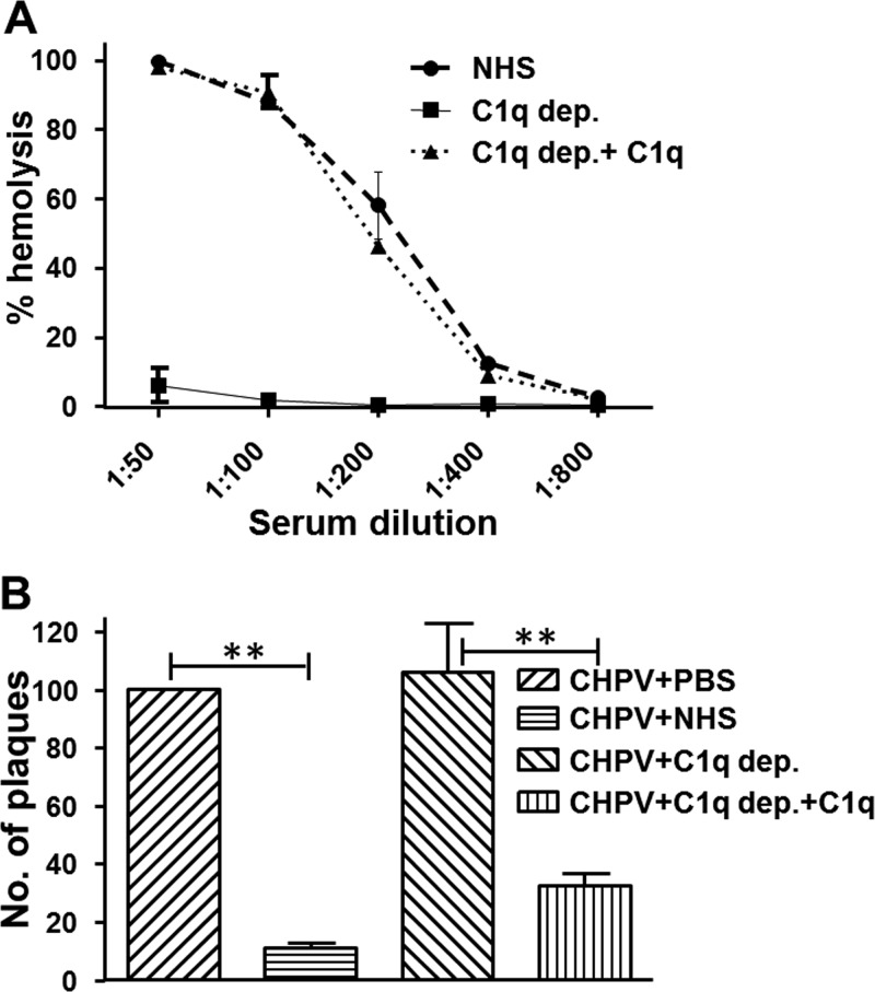 FIG 6