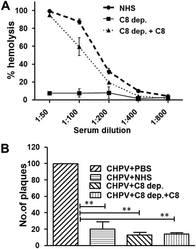 FIG 11