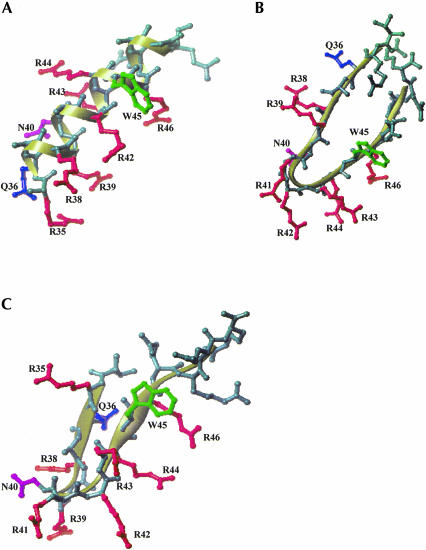 FIGURE 7.