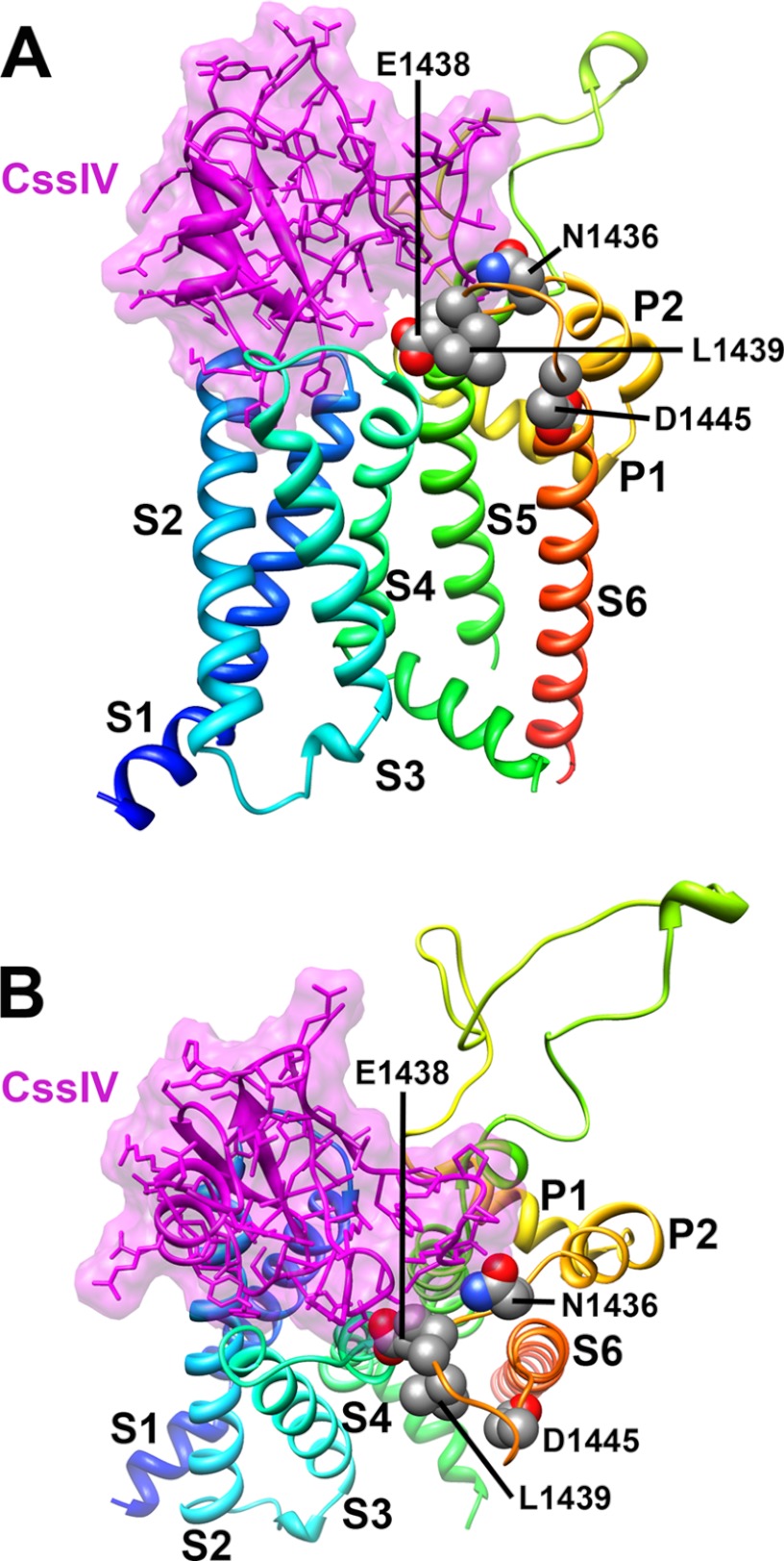 FIGURE 6.