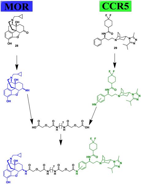 Fig. (7)