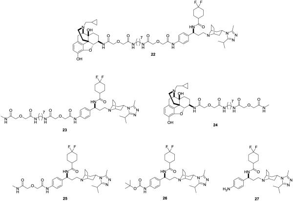 Fig. (6)