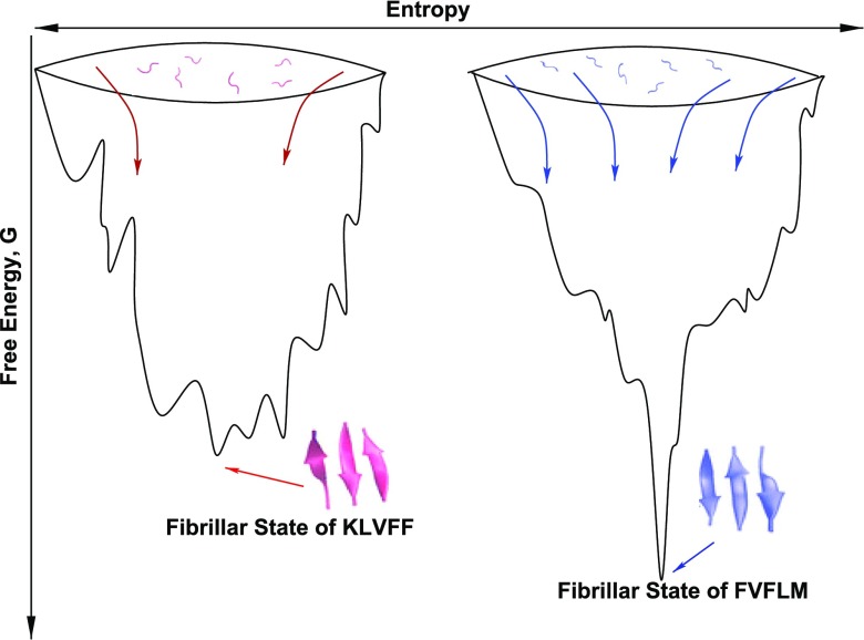 FIG. 1.