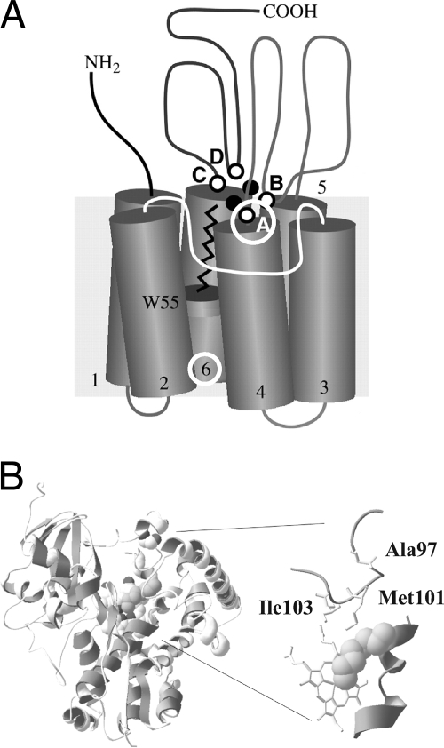 FIG. 5.