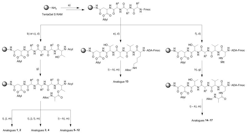 Scheme 1