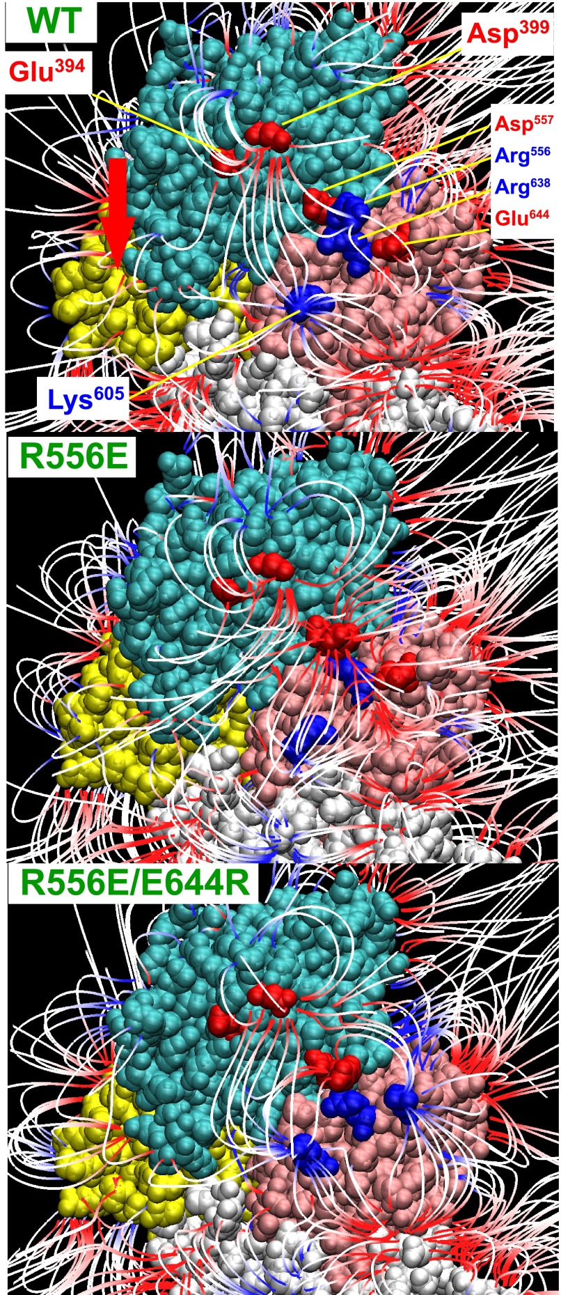 FIGURE 11.