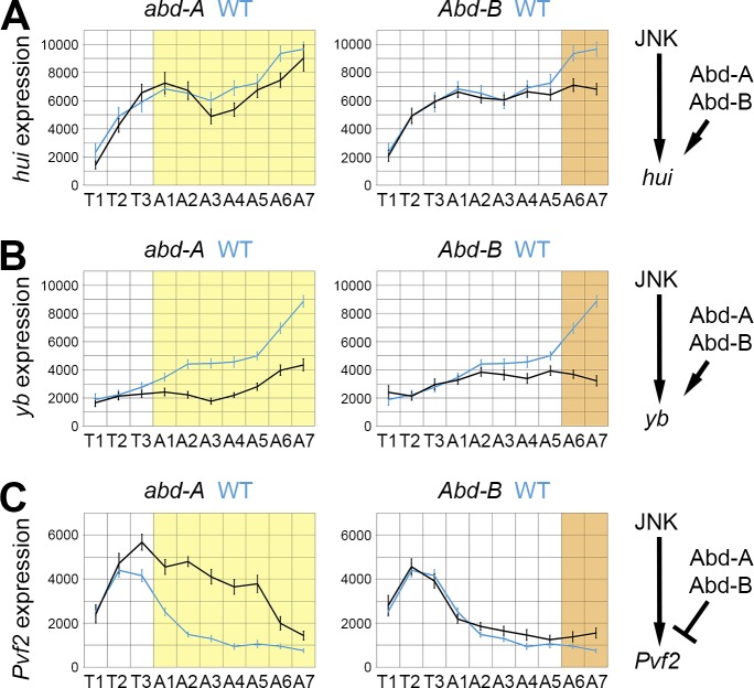 Fig 6