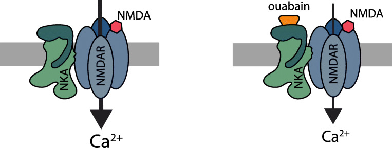 Fig. 8