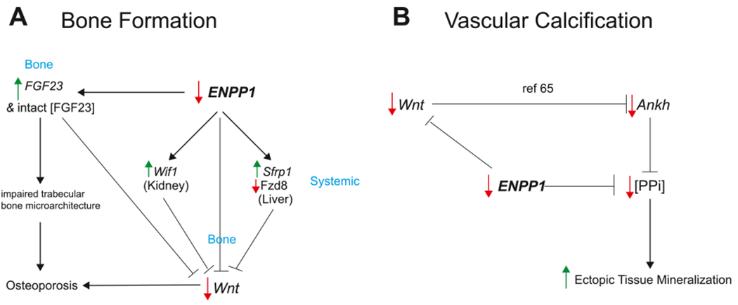 Fig. 8.