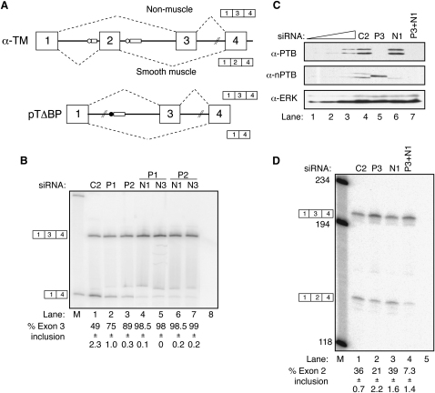 Figure 5