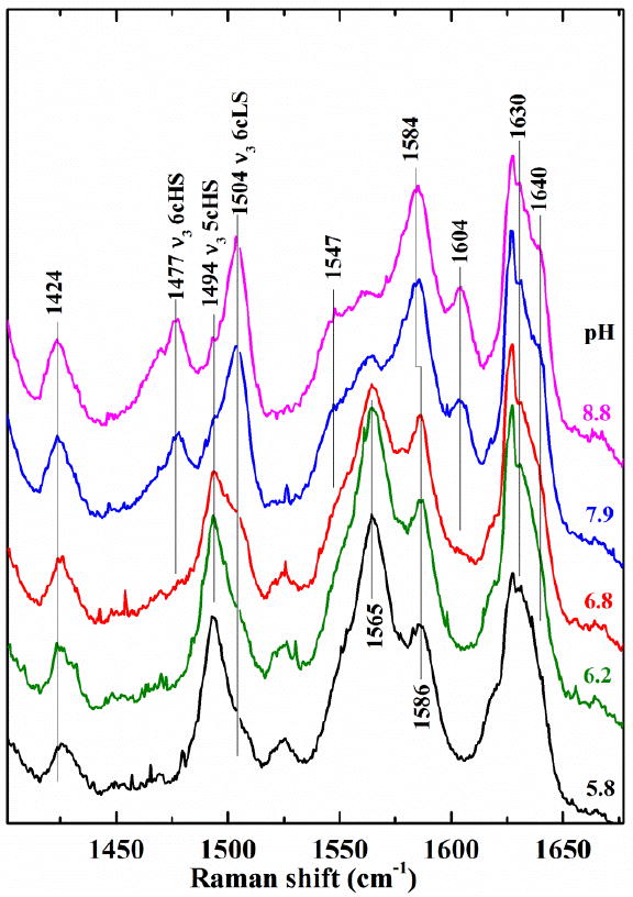 Fig. 5