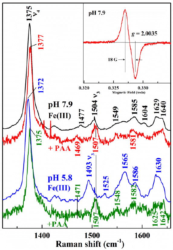 Fig. 12