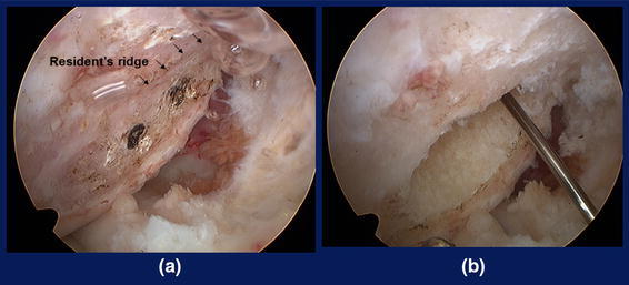 Fig. 7