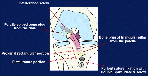 Fig. 5