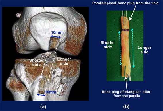 Fig. 6