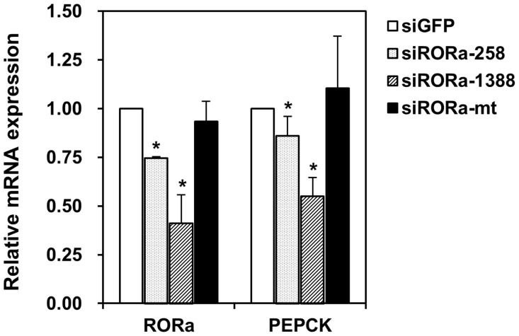 Fig 5