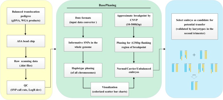 Fig. 1