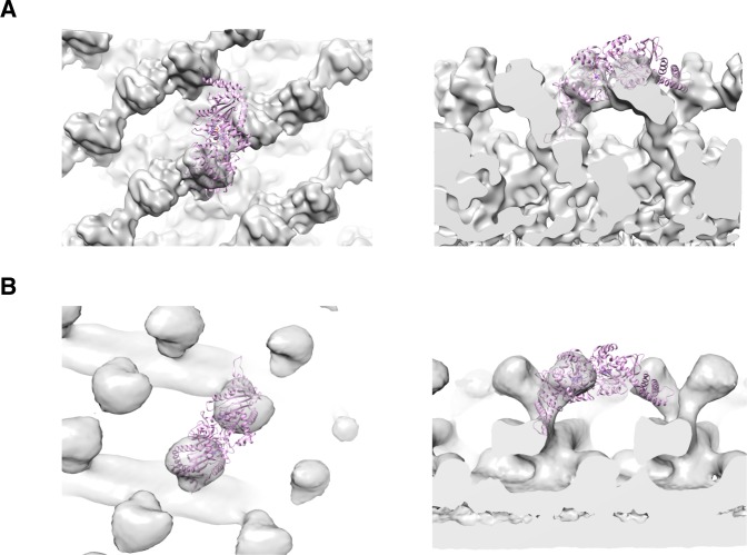 Figure 3—figure supplement 3.