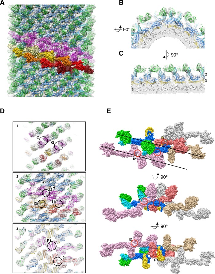 Figure 3.