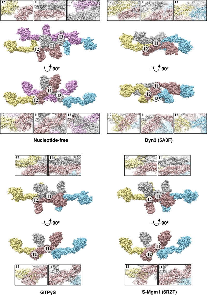 Figure 3—figure supplement 4.